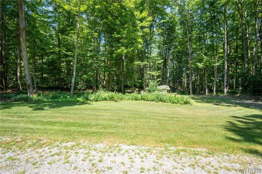 2958 Sonricker Road, Attica, New York 14011, Attica, New York 14011, ,Land,For Sale,2958 Sonricker Road, Attica, New York 14011,0,B1718744