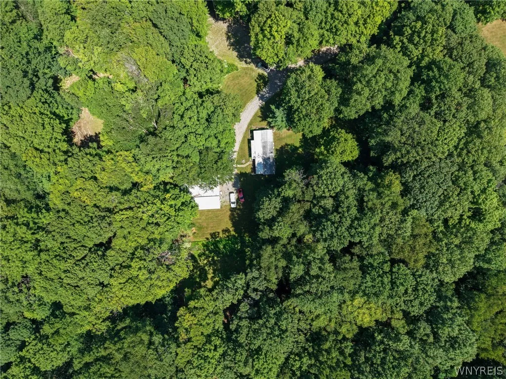 2958 Sonricker Road, Attica, New York 14011, Attica, New York 14011, ,Land,For Sale,2958 Sonricker Road, Attica, New York 14011,0,B1718744