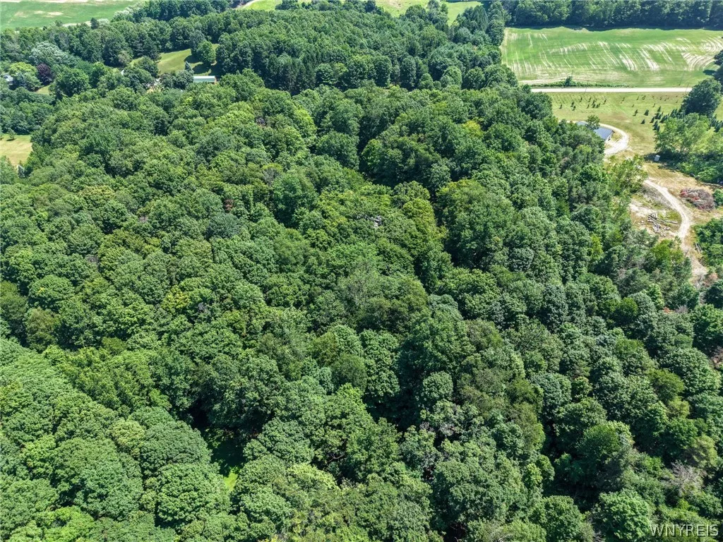 2958 Sonricker Road, Attica, New York 14011, Attica, New York 14011, ,Land,For Sale,2958 Sonricker Road, Attica, New York 14011,0,B1718744