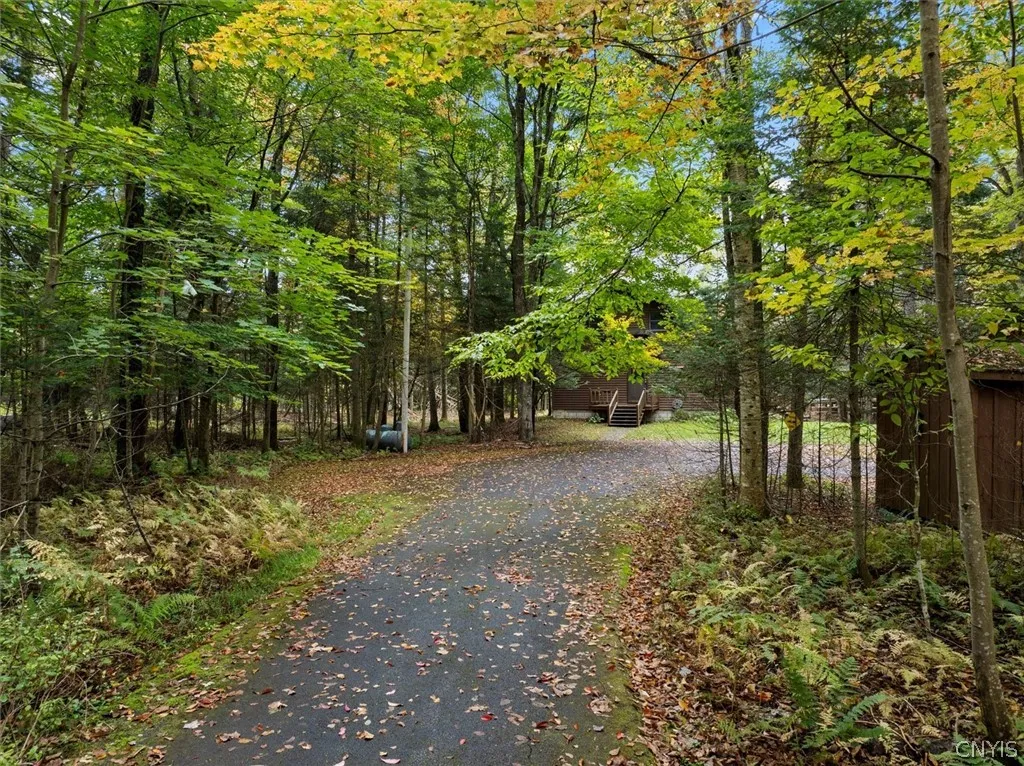 Paved tree lined driveway