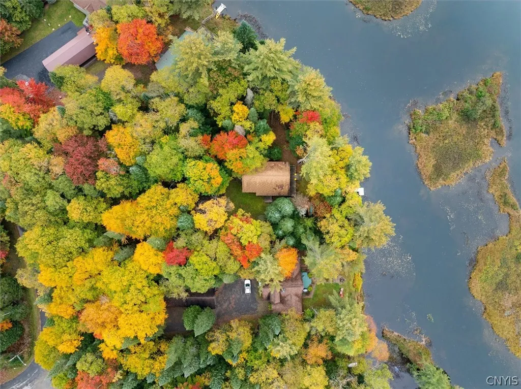Home is nestled in the trees