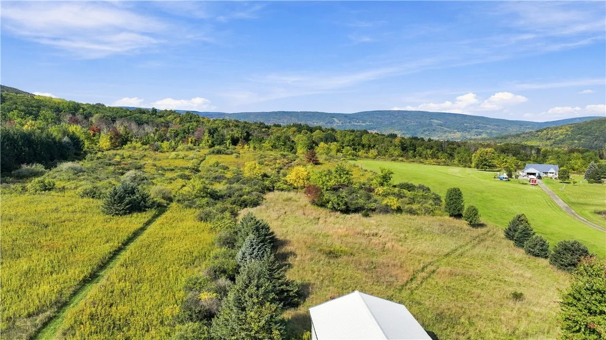 Room for a pasture