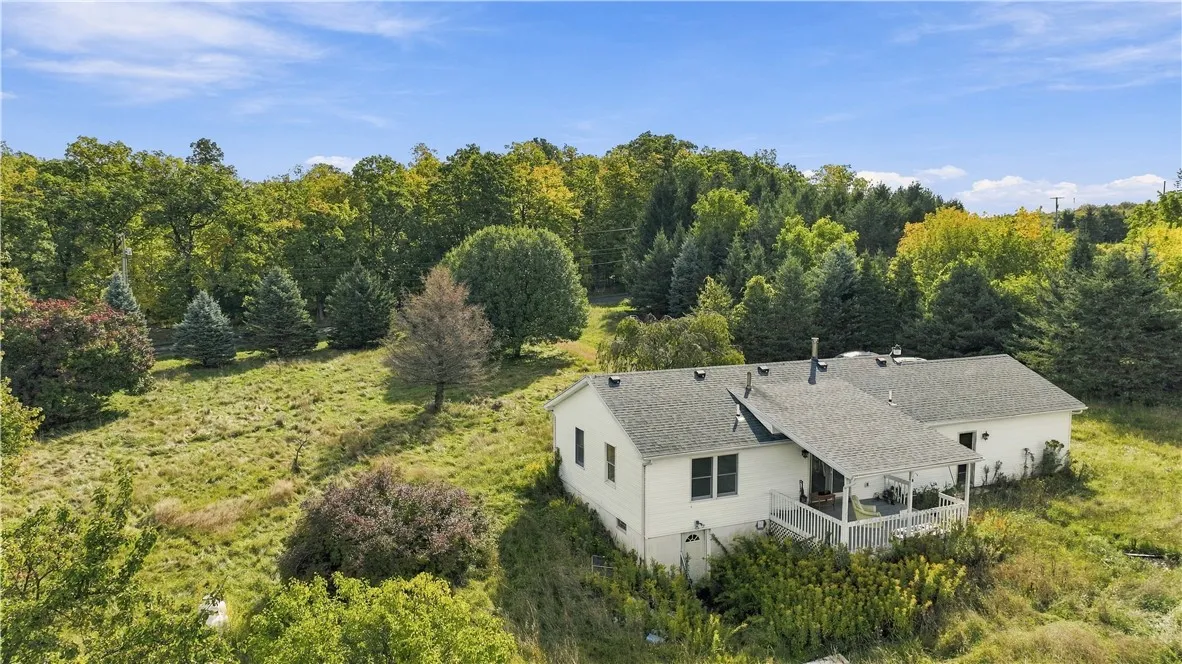 Front yard is surrounded by trees