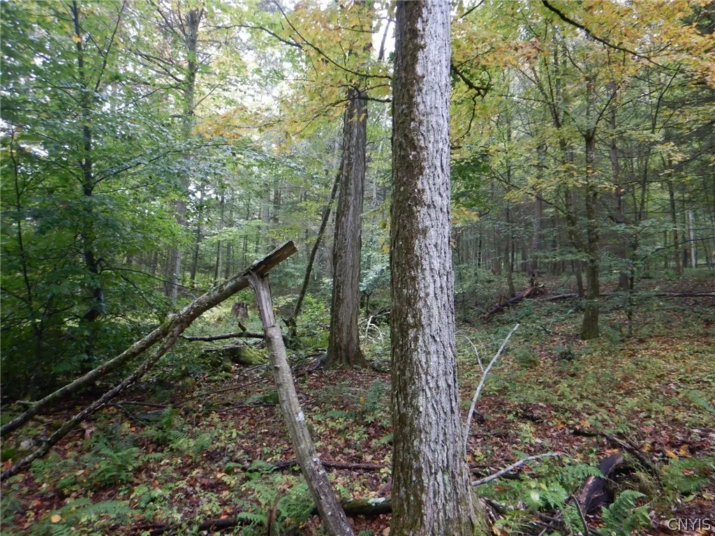 Flanders Hill, Windsor, New York 13865, Windsor, New York 13865, ,Land,For Sale,Flanders Hill, Windsor, New York 13865,0,S1718670