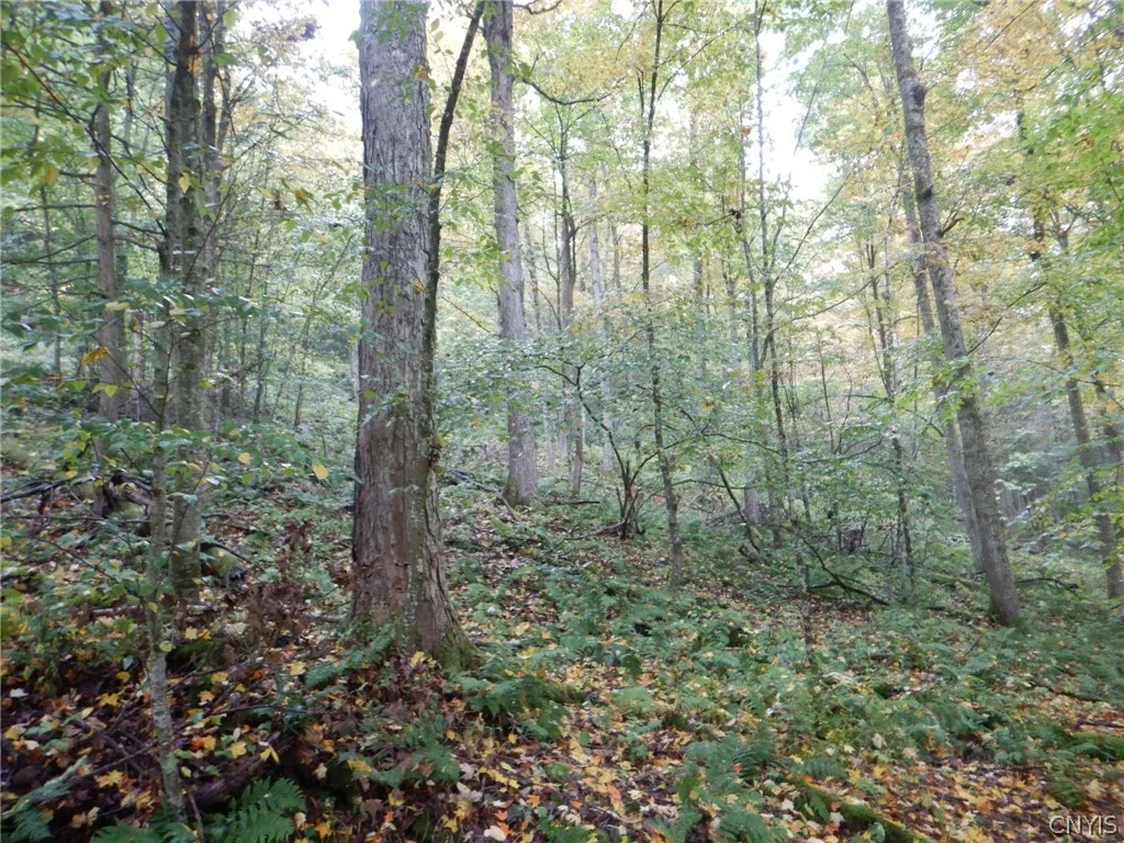 Flanders Hill, Windsor, New York 13865, Windsor, New York 13865, ,Land,For Sale,Flanders Hill, Windsor, New York 13865,0,S1718670