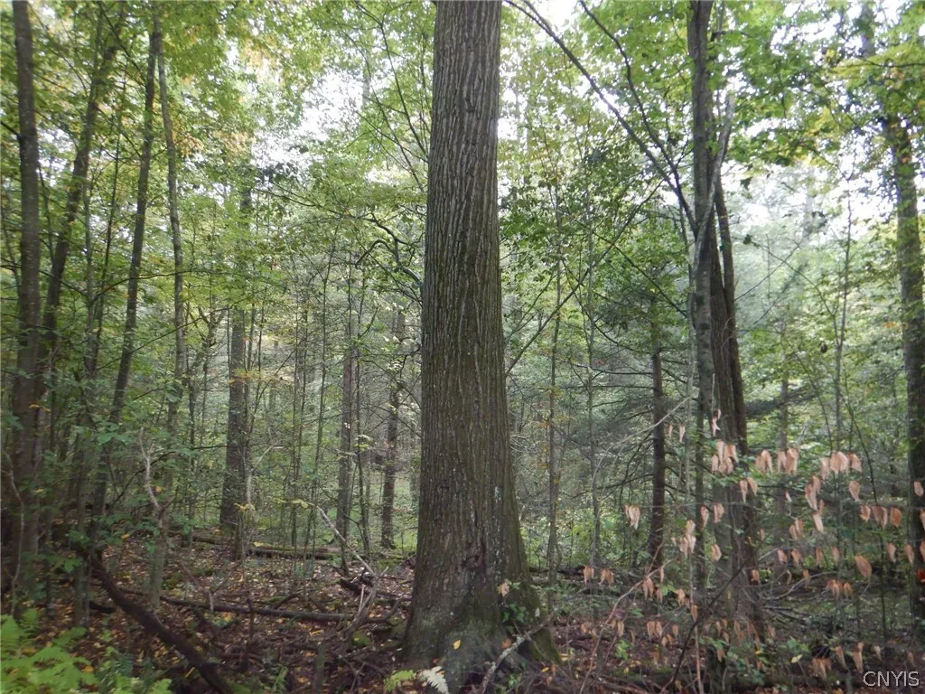Flanders Hill, Windsor, New York 13865, Windsor, New York 13865, ,Land,For Sale,Flanders Hill, Windsor, New York 13865,0,S1718670