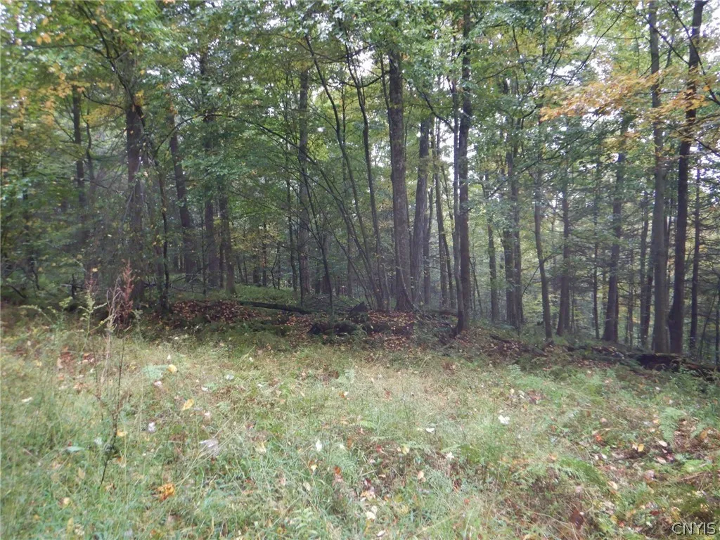 Flanders Hill, Windsor, New York 13865, Windsor, New York 13865, ,Land,For Sale,Flanders Hill, Windsor, New York 13865,0,S1718670