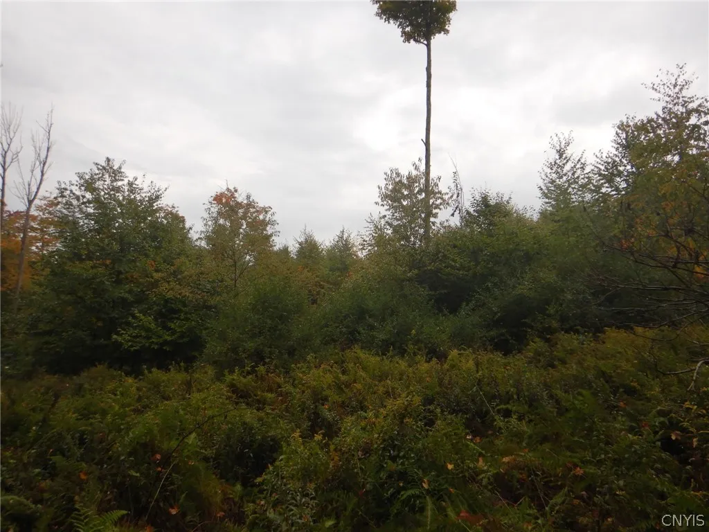 Flanders Hill, Windsor, New York 13865, Windsor, New York 13865, ,Land,For Sale,Flanders Hill, Windsor, New York 13865,0,S1718670