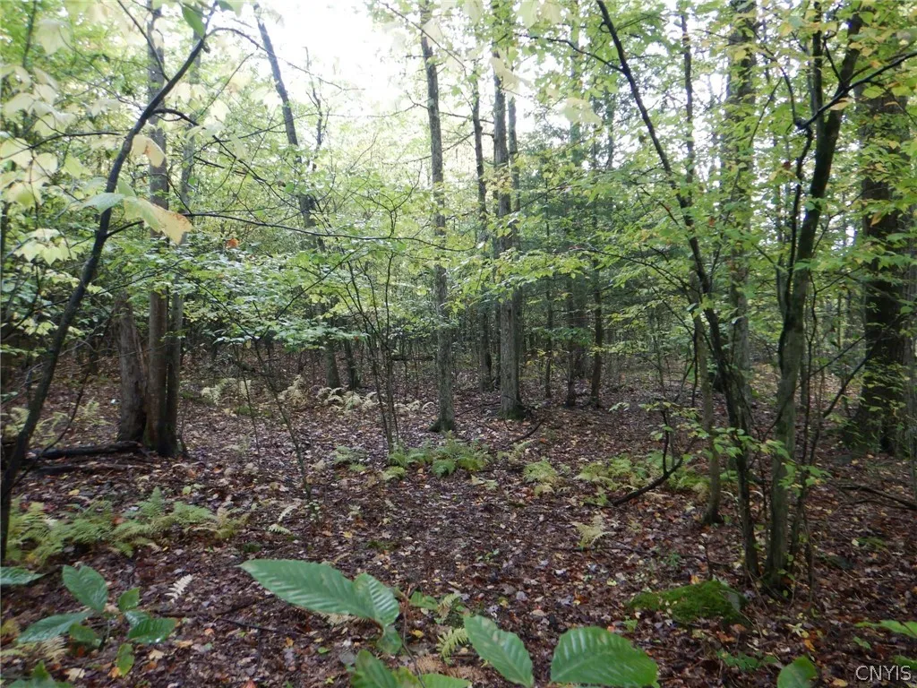 Flanders Hill, Windsor, New York 13865, Windsor, New York 13865, ,Land,For Sale,Flanders Hill, Windsor, New York 13865,0,S1718670