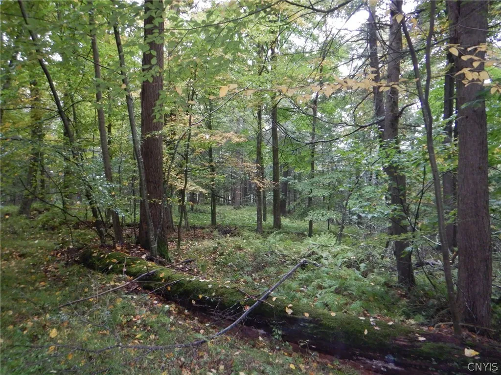 Flanders Hill, Windsor, New York 13865, Windsor, New York 13865, ,Land,For Sale,Flanders Hill, Windsor, New York 13865,0,S1718670