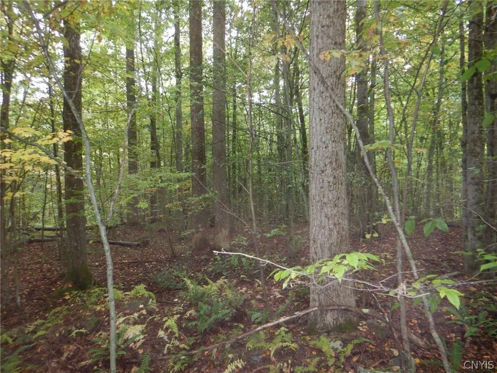 Flanders Hill, Windsor, New York 13865, Windsor, New York 13865, ,Land,For Sale,Flanders Hill, Windsor, New York 13865,0,S1718670
