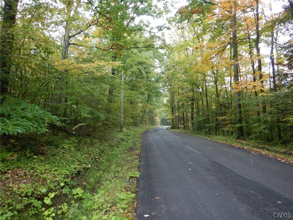 Flanders Hill, Windsor, New York 13865, Windsor, New York 13865, ,Land,For Sale,Flanders Hill, Windsor, New York 13865,0,S1718670
