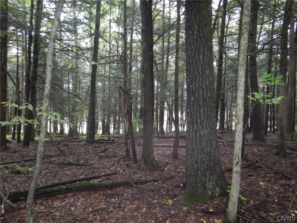 Flanders Hill, Windsor, New York 13865, Windsor, New York 13865, ,Land,For Sale,Flanders Hill, Windsor, New York 13865,0,S1718670