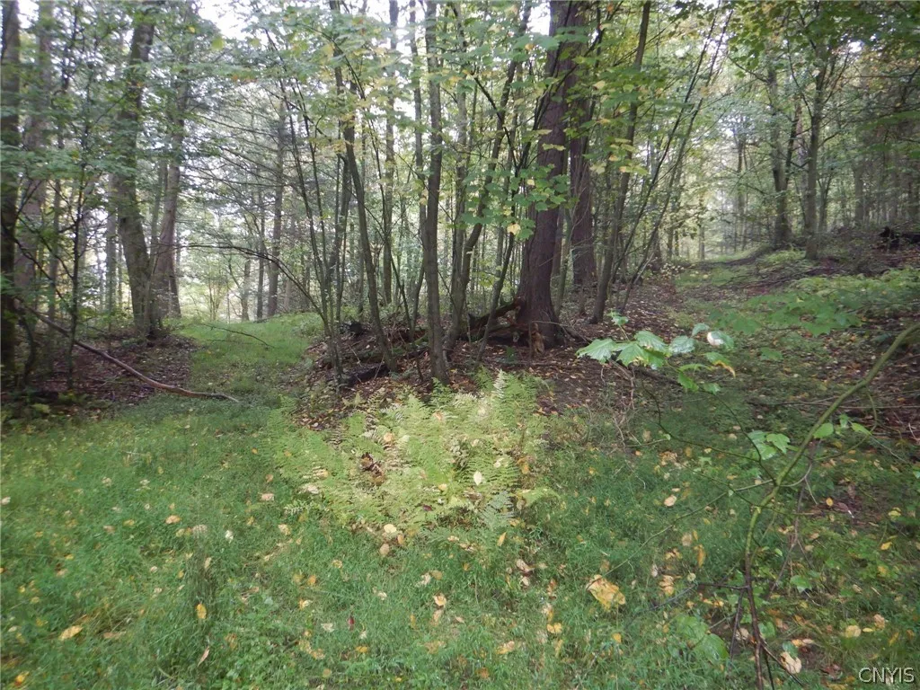Flanders Hill, Windsor, New York 13865, Windsor, New York 13865, ,Land,For Sale,Flanders Hill, Windsor, New York 13865,0,S1718670