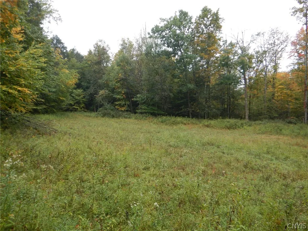 Flanders Hill, Windsor, New York 13865, Windsor, New York 13865, ,Land,For Sale,Flanders Hill, Windsor, New York 13865,0,S1718670