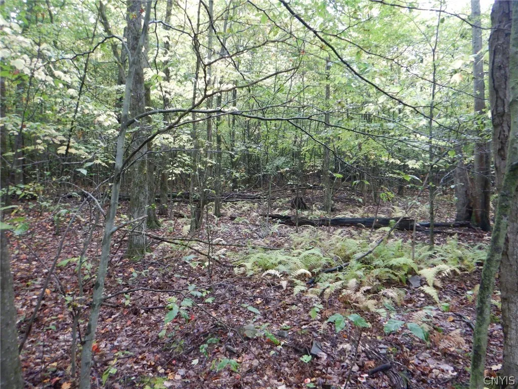 Flanders Hill, Windsor, New York 13865, Windsor, New York 13865, ,Land,For Sale,Flanders Hill, Windsor, New York 13865,0,S1718670