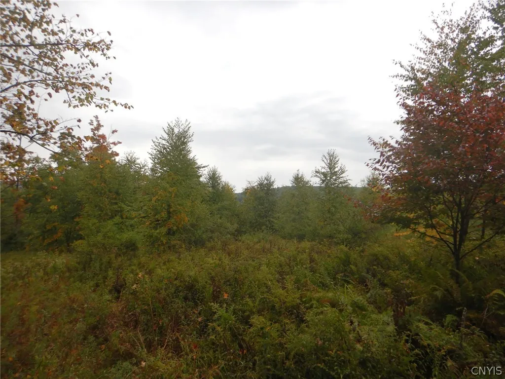Flanders Hill, Windsor, New York 13865, Windsor, New York 13865, ,Land,For Sale,Flanders Hill, Windsor, New York 13865,0,S1718670