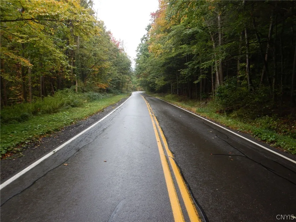 Flanders Hill, Windsor, New York 13865, Windsor, New York 13865, ,Land,For Sale,Flanders Hill, Windsor, New York 13865,0,S1718670