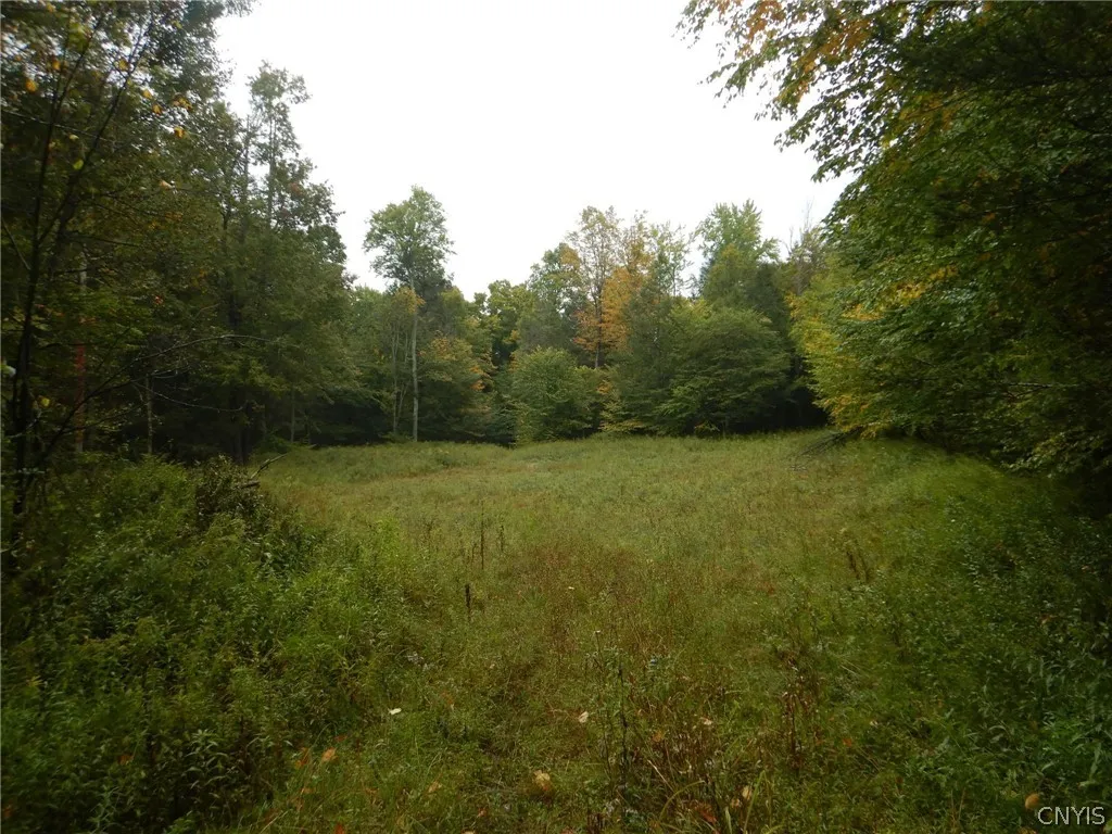 Flanders Hill, Windsor, New York 13865, Windsor, New York 13865, ,Land,For Sale,Flanders Hill, Windsor, New York 13865,0,S1718670