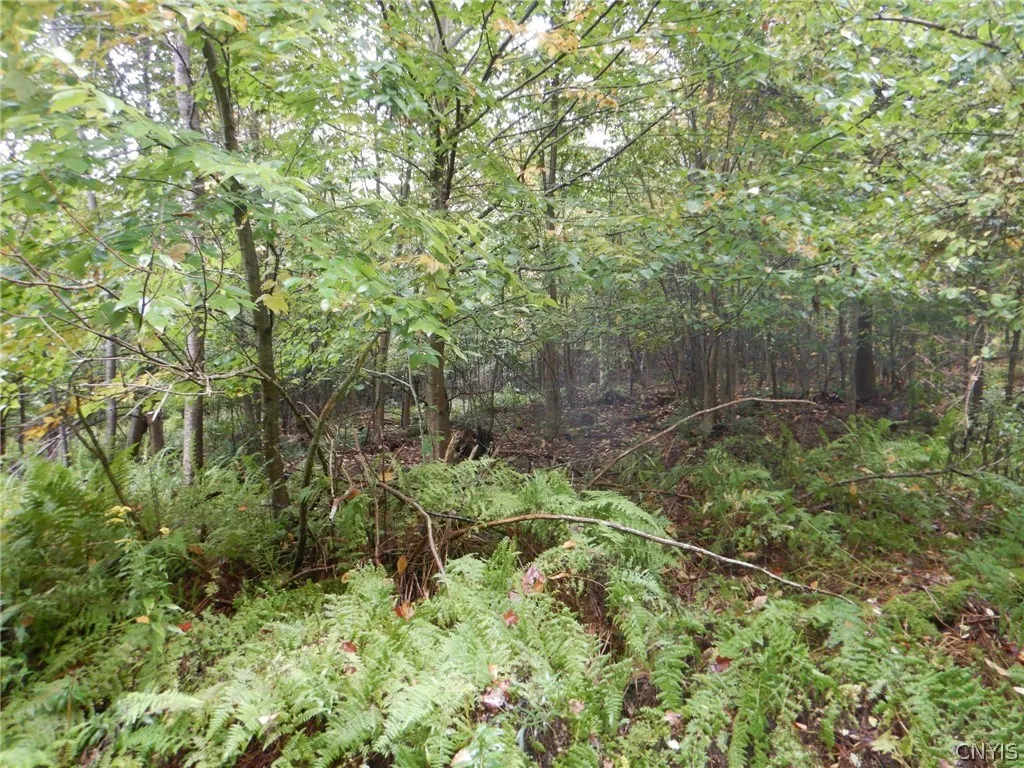 Flanders Hill, Windsor, New York 13865, Windsor, New York 13865, ,Land,For Sale,Flanders Hill, Windsor, New York 13865,0,S1718670