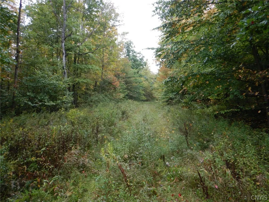 Flanders Hill, Windsor, New York 13865, Windsor, New York 13865, ,Land,For Sale,Flanders Hill, Windsor, New York 13865,0,S1718670