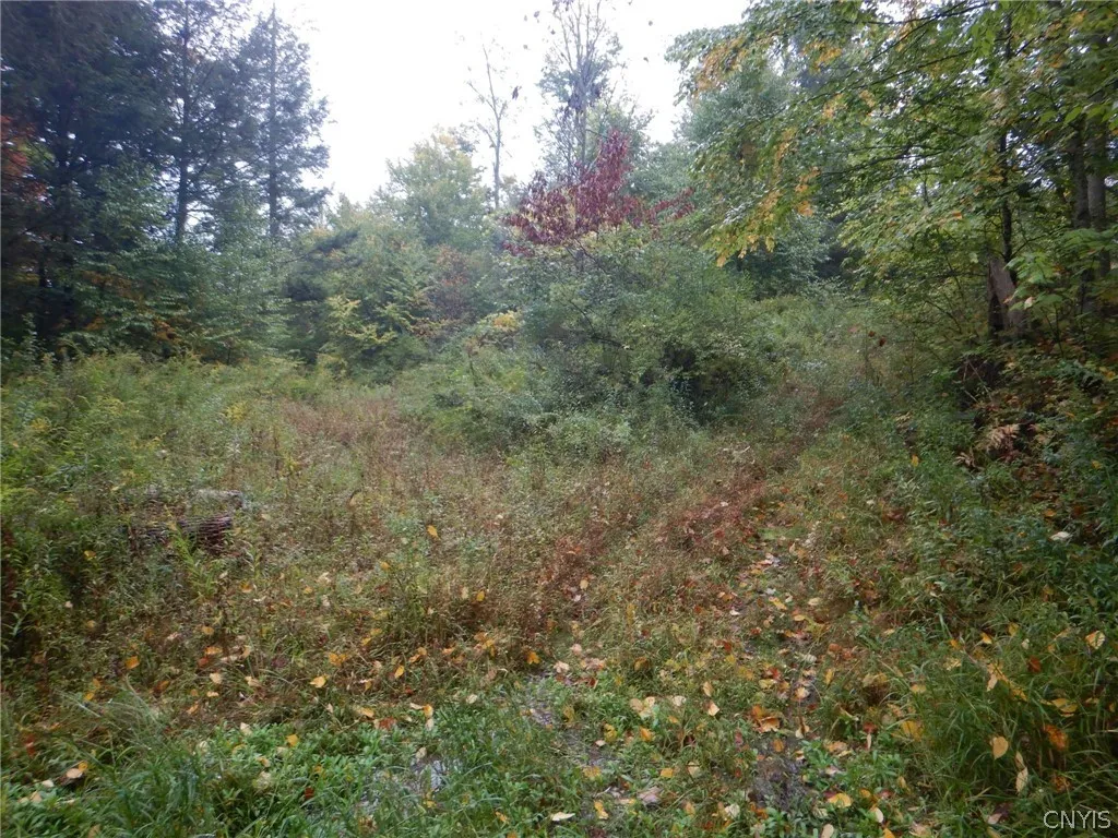 Flanders Hill, Windsor, New York 13865, Windsor, New York 13865, ,Land,For Sale,Flanders Hill, Windsor, New York 13865,0,S1718670
