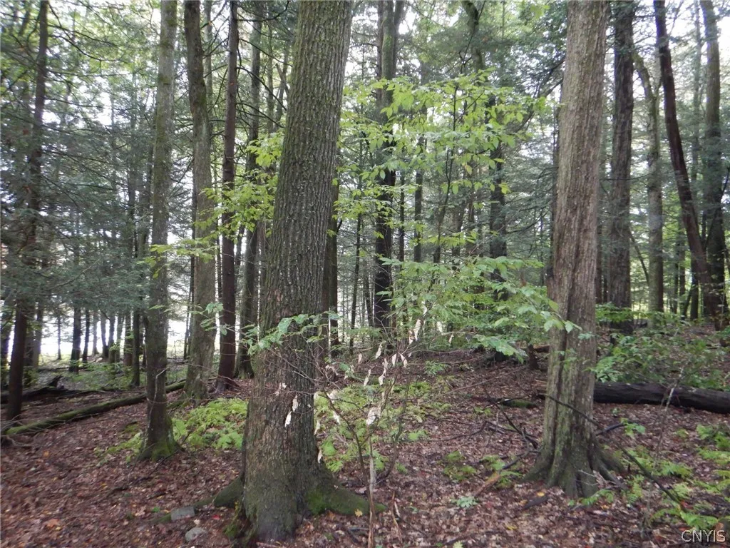 Flanders Hill, Windsor, New York 13865, Windsor, New York 13865, ,Land,For Sale,Flanders Hill, Windsor, New York 13865,0,S1718670