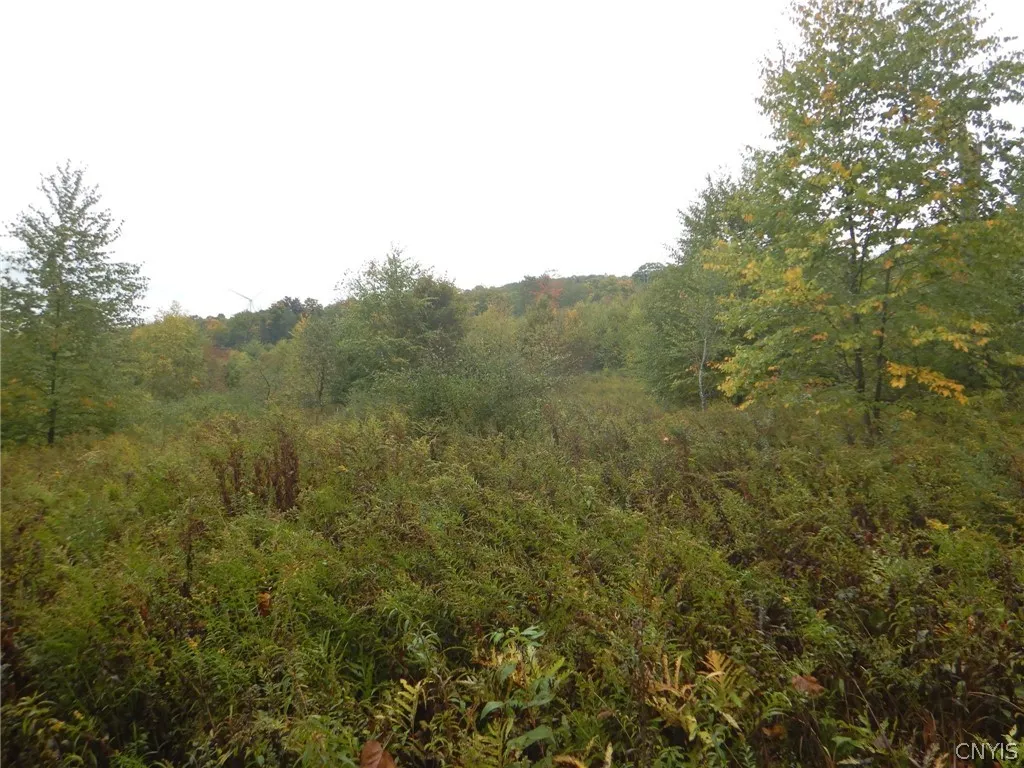Flanders Hill, Windsor, New York 13865, Windsor, New York 13865, ,Land,For Sale,Flanders Hill, Windsor, New York 13865,0,S1718670