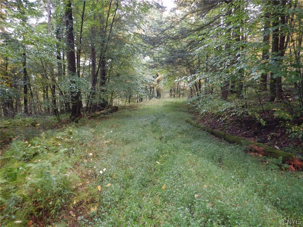 Flanders Hill, Windsor, New York 13865, Windsor, New York 13865, ,Land,For Sale,Flanders Hill, Windsor, New York 13865,0,S1718670