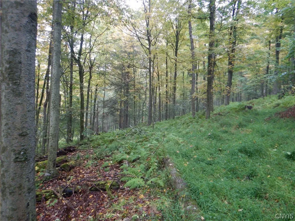 Flanders Hill, Windsor, New York 13865, Windsor, New York 13865, ,Land,For Sale,Flanders Hill, Windsor, New York 13865,0,S1718670