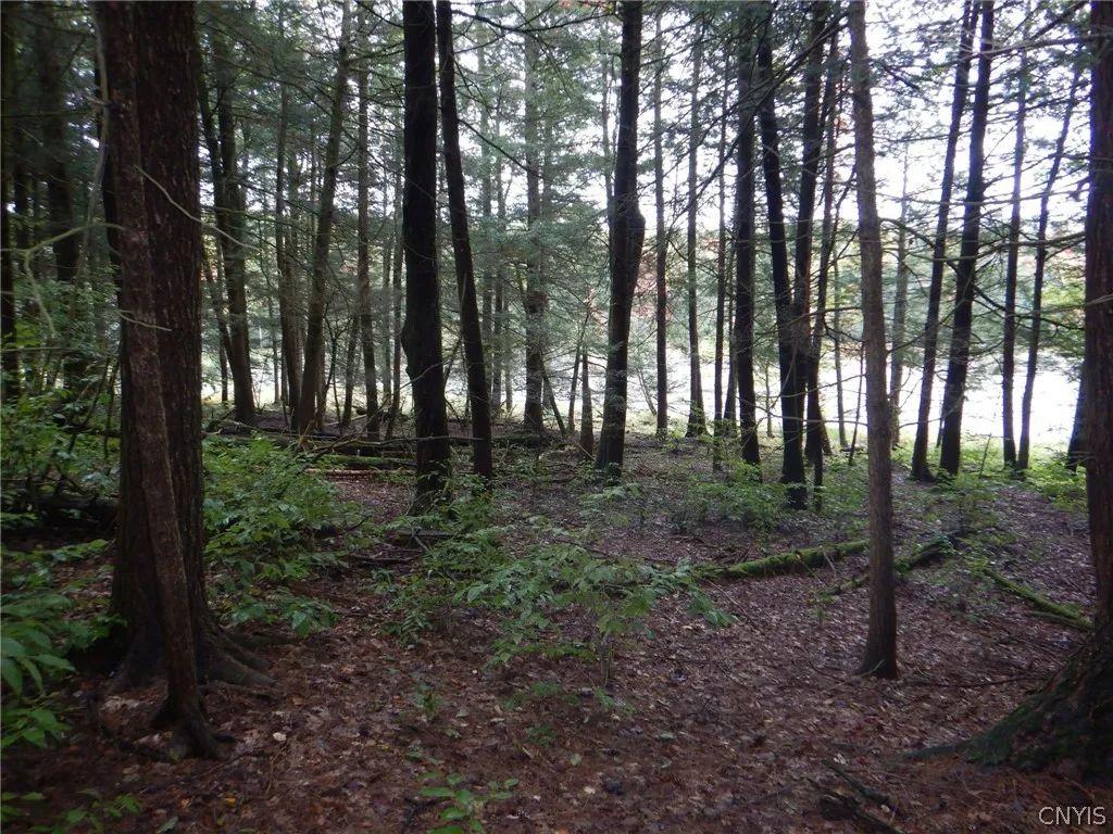 Flanders Hill, Windsor, New York 13865, Windsor, New York 13865, ,Land,For Sale,Flanders Hill, Windsor, New York 13865,0,S1718670