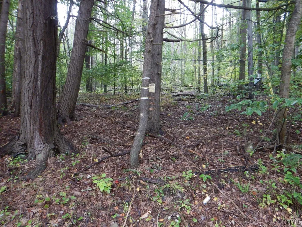 Flanders Hill, Windsor, New York 13865, Windsor, New York 13865, ,Land,For Sale,Flanders Hill, Windsor, New York 13865,0,S1718670