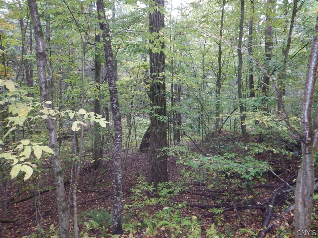 Flanders Hill, Windsor, New York 13865, Windsor, New York 13865, ,Land,For Sale,Flanders Hill, Windsor, New York 13865,0,S1718670