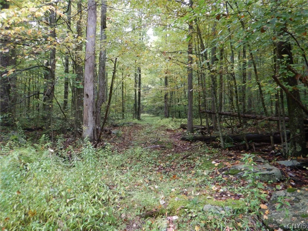 Flanders Hill, Windsor, New York 13865, Windsor, New York 13865, ,Land,For Sale,Flanders Hill, Windsor, New York 13865,0,S1718670