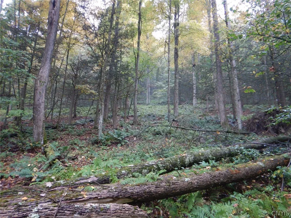 Flanders Hill, Windsor, New York 13865, Windsor, New York 13865, ,Land,For Sale,Flanders Hill, Windsor, New York 13865,0,S1718670