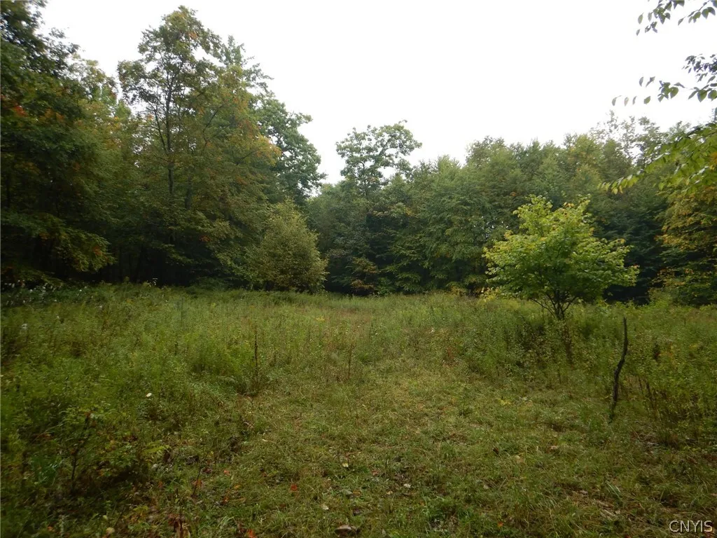 Flanders Hill, Windsor, New York 13865, Windsor, New York 13865, ,Land,For Sale,Flanders Hill, Windsor, New York 13865,0,S1718670