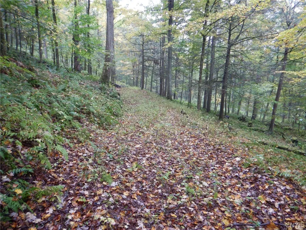 Flanders Hill, Windsor, New York 13865, Windsor, New York 13865, ,Land,For Sale,Flanders Hill, Windsor, New York 13865,0,S1718670
