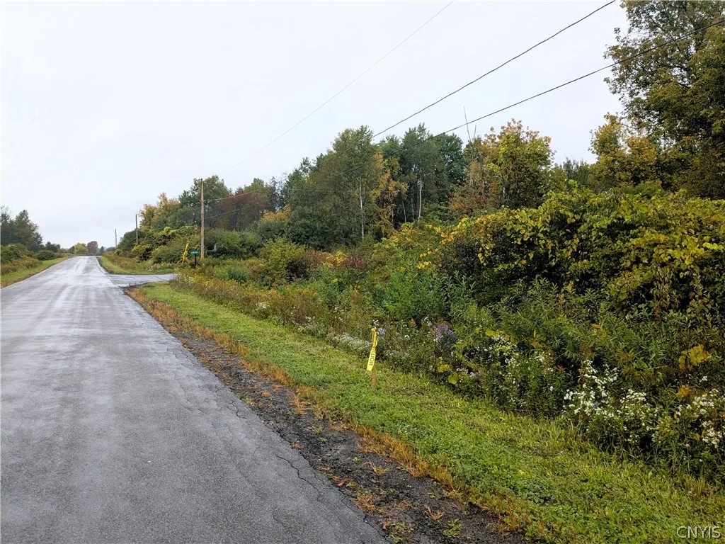 0 Foster Road, Homer, New York 13077, Homer, New York 13077, ,Land,For Sale,0 Foster Road, Homer, New York 13077,0,S1719513