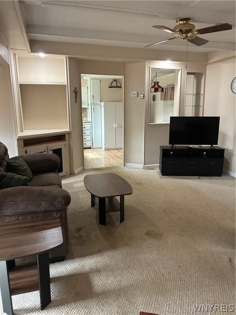 WALL TO WALL CARPETING-TV BI UNIT