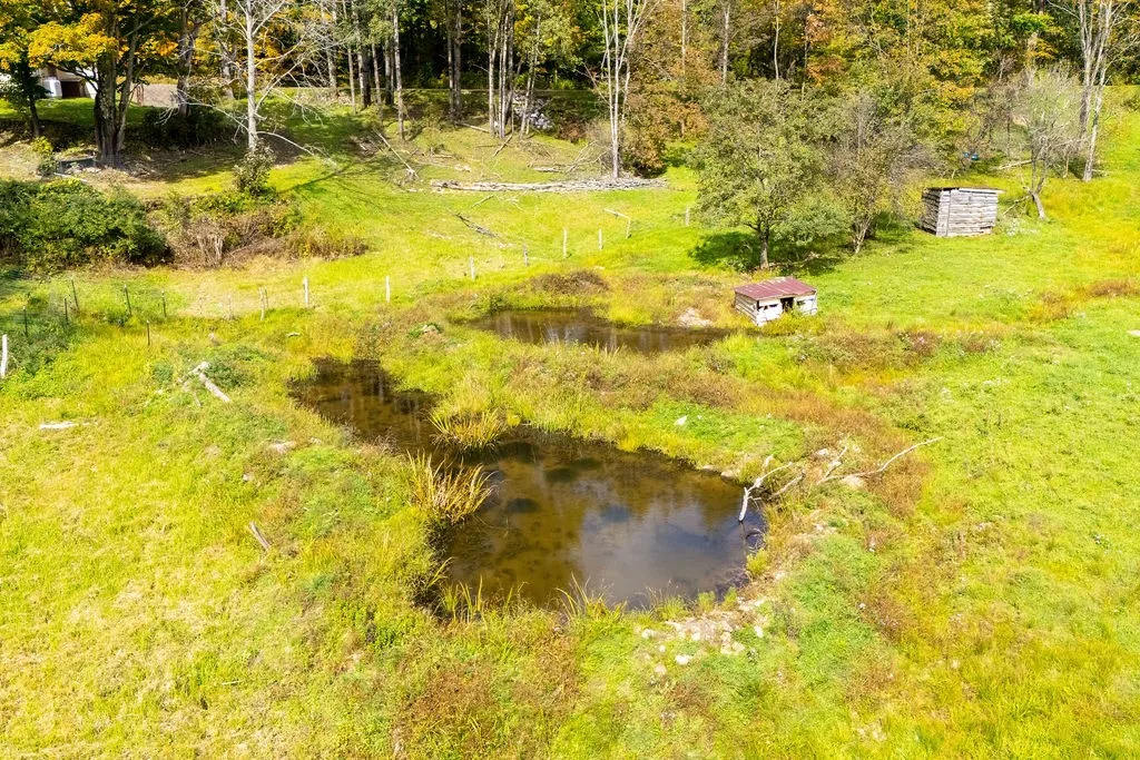 A tranquil natural pond rests within the rolling green pastures of this expansive property.