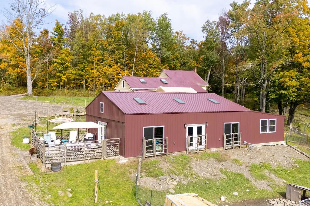 A metal outbuilding sits nestled against a dense backdrop of mature autumn trees.