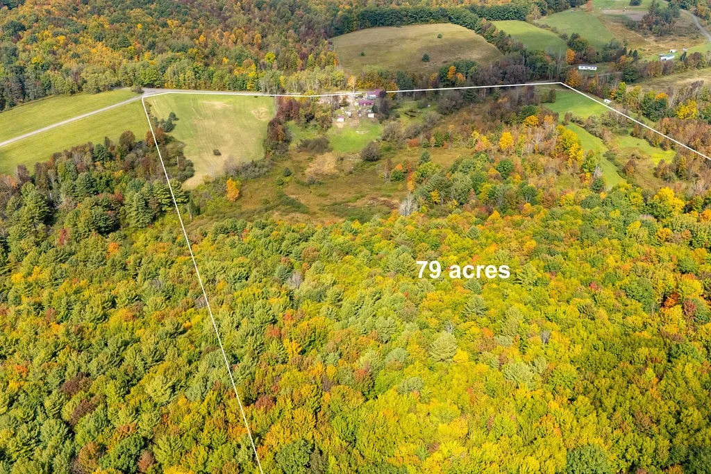 Mature woodlands and open meadows define this vast countryside parcel.
