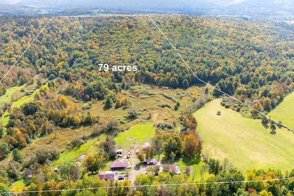 Vast forested acreage offers rolling hills and scenic meadow views.