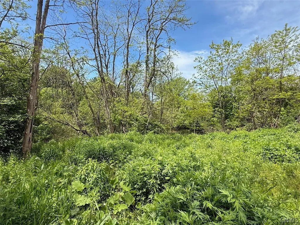 1559 County Route 48, Sandy Creek, New York 13083, Sandy Creek, New York 13083, ,Land,For Sale,1559 County Route 48, Sandy Creek, New York 13083,0,S1720877