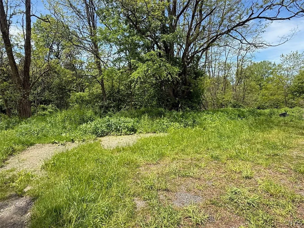 1559 County Route 48, Sandy Creek, New York 13083, Sandy Creek, New York 13083, ,Land,For Sale,1559 County Route 48, Sandy Creek, New York 13083,0,S1720877