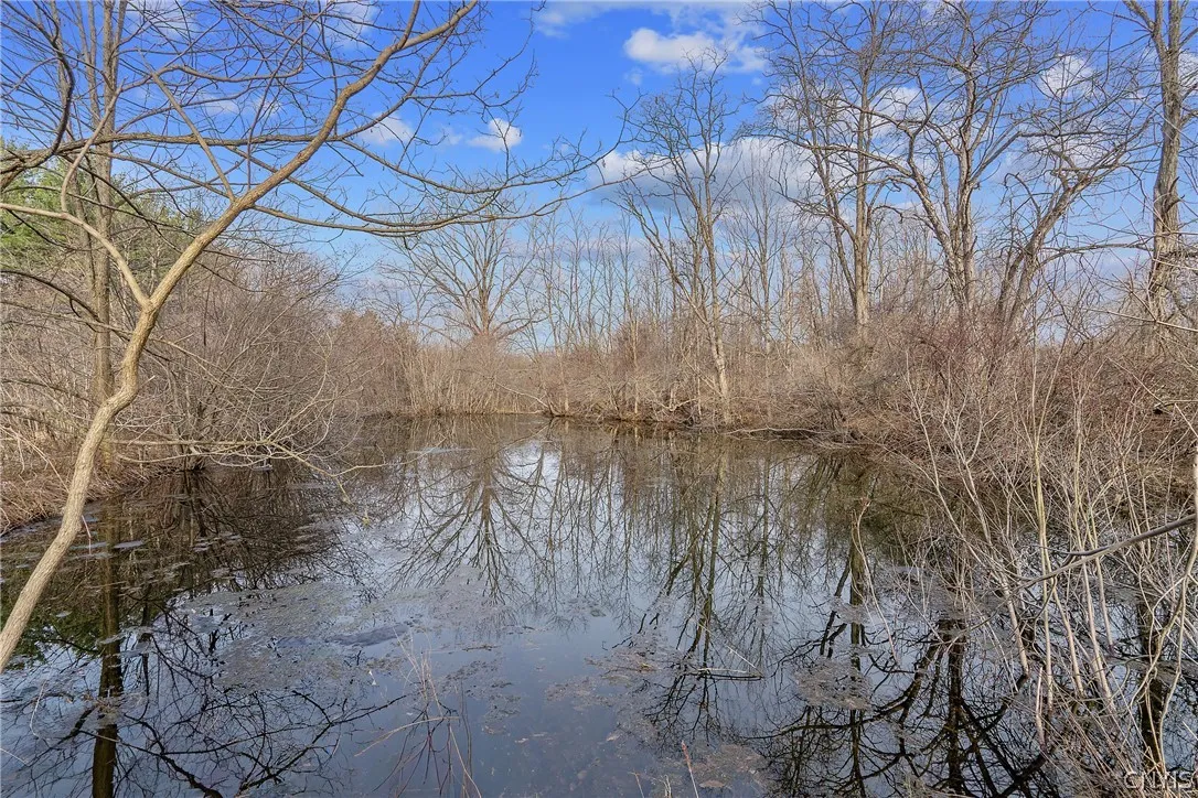 1559 County Route 48, Sandy Creek, New York 13083, Sandy Creek, New York 13083, ,Land,For Sale,1559 County Route 48, Sandy Creek, New York 13083,0,S1720877