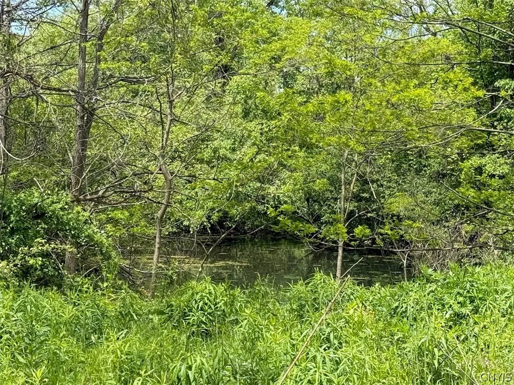 1559 County Route 48, Sandy Creek, New York 13083, Sandy Creek, New York 13083, ,Land,For Sale,1559 County Route 48, Sandy Creek, New York 13083,0,S1720877
