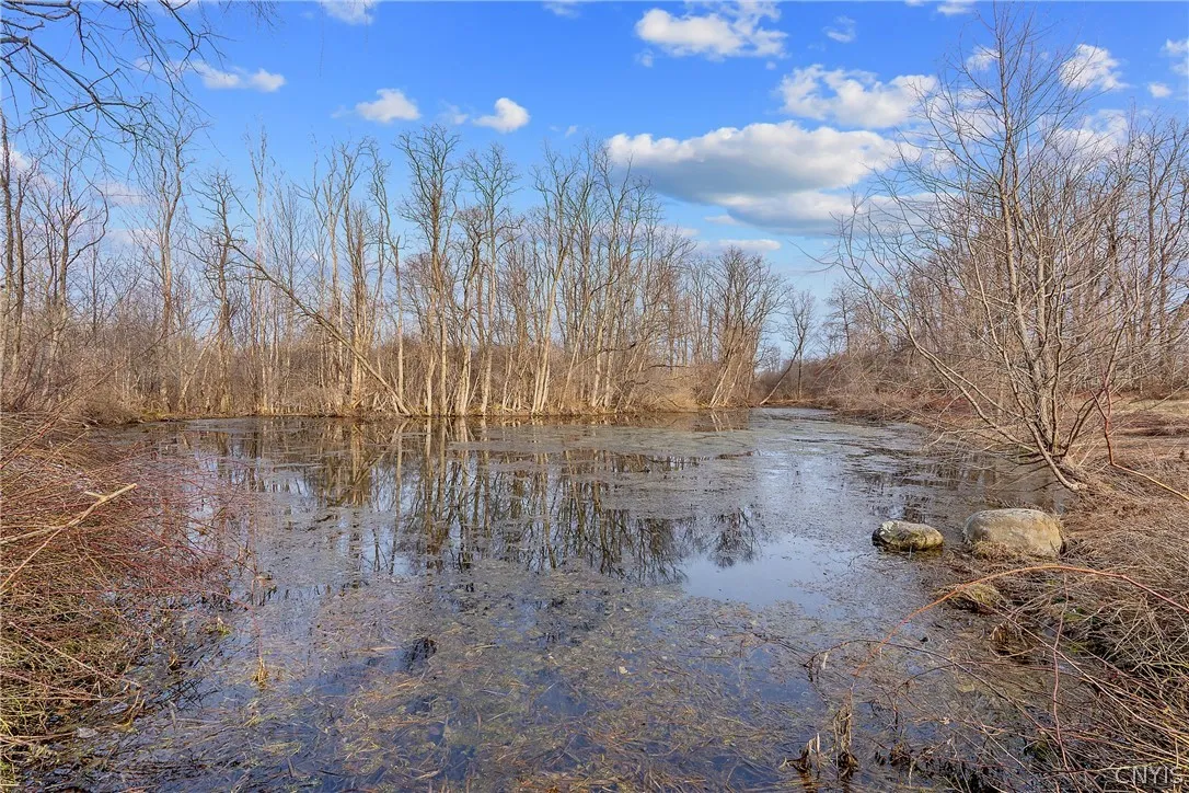 1559 County Route 48, Sandy Creek, New York 13083, Sandy Creek, New York 13083, ,Land,For Sale,1559 County Route 48, Sandy Creek, New York 13083,0,S1720877