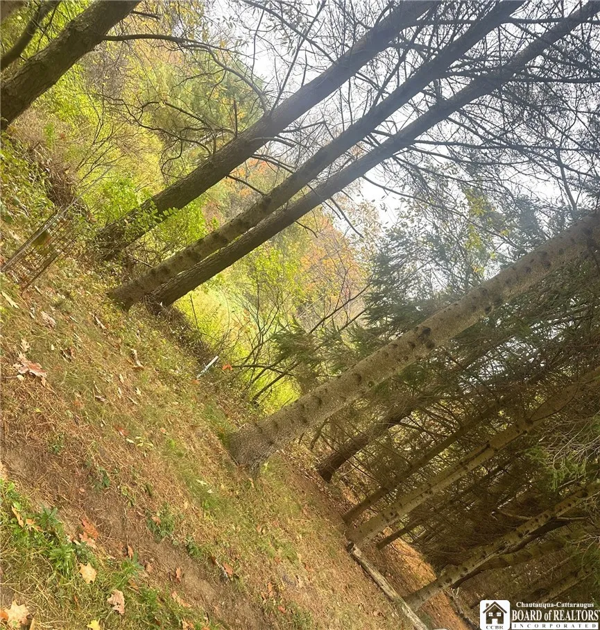 9254 Huyck, Farmersville, New York 14060, Farmersville, New York 14060, ,Land,For Sale,9254 Huyck, Farmersville, New York 14060,0,R1720508