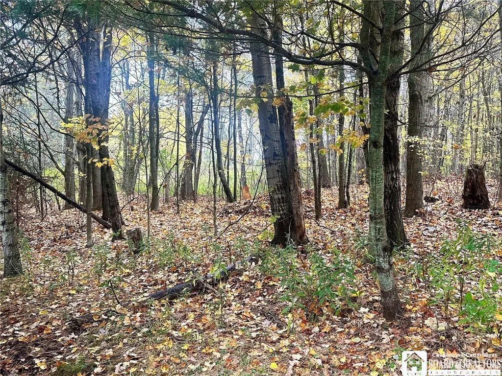 9254 Huyck, Farmersville, New York 14060, Farmersville, New York 14060, ,Land,For Sale,9254 Huyck, Farmersville, New York 14060,0,R1720508
